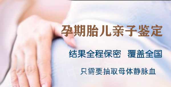 河北怀孕几个月怎么做孕期亲子鉴定,河北办理无创产前亲子鉴定怎么收费 河北怀孕几个月怎么做孕期亲子鉴定,河北办理无创产前亲子鉴定怎么收费